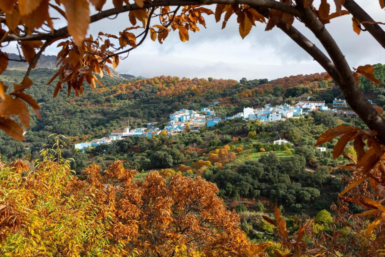 Готель Secret Garden Retreats Хускар Екстер'єр фото